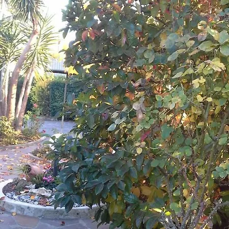 Casa Dei Frati *